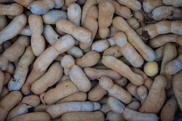 Brown Tamarind Fruit (Tamarindus indica)