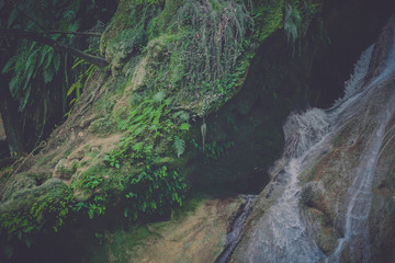 Obraz premium river beautiful Waterfalls of Tamasopo san luis potosi mexico