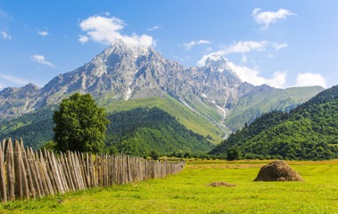 Beautiful landscape of the meadow on a background of snow-capped peaks of the Caucasus Mountains of Georgia