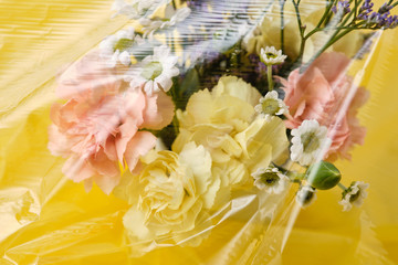 Flowers under a transparent film. Polyethylene Film
