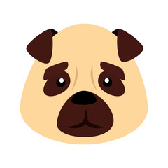 face of cute dog animal isolated icon vector illustration design