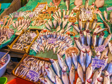 the abundance of game fish at a street market in Istanbul
