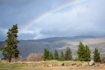 Oregon Rainbow Chase