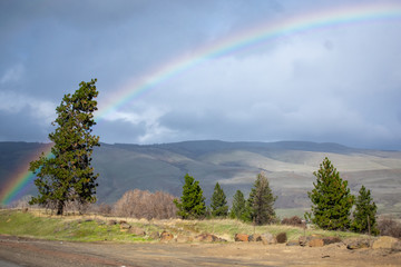 Oregon Rainbow Chase