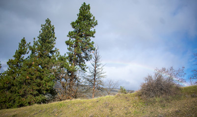 Oregon Rainbow Chase