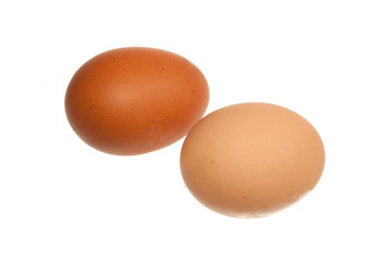 chicken egg isolated on white background