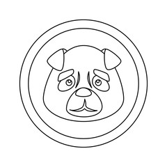 face of cute dog animal in frame circular vector illustration design
