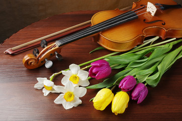 Fototapeta premium Violin with a bow, a bouquet of daffodils and tulips on a wooden table.