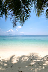 empty tropical beach with palm trees in koh kradan in thailand