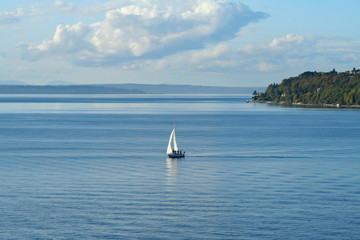 Sailboat on Puget Sound (WA 00329)