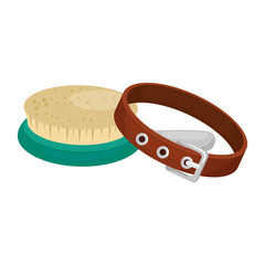 collar for dog with brush isolated icon vector illustration design