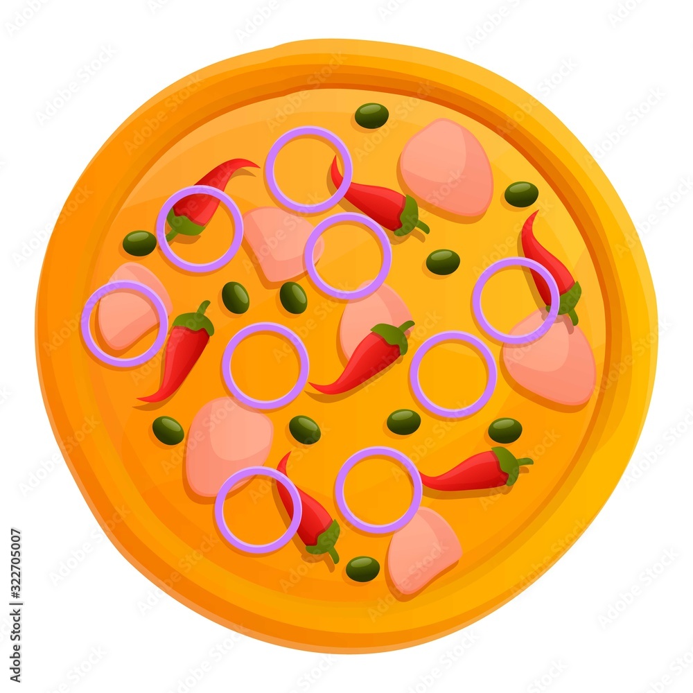 Poster top view pizza icon. cartoon of top view pizza vector icon for web design isolated on white backgrou