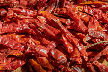 Gastronomic photo with natural light of Mexican tree peppers, one of the most spicy in the world. photo with light