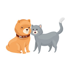 Obraz na płótnie Canvas cute cat and dog animals isolated icon vector illustration design