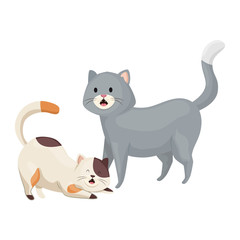 cute little cats animals icon vector illustration design