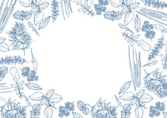 ハーブ 植物 背景 フレーム イラスト © tada