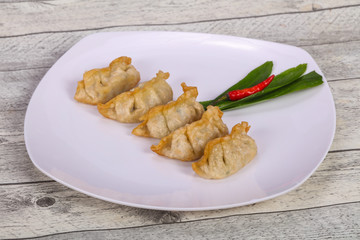 Japanese traditional cuisine Gyoza dumplings