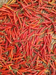 Fototapeta premium red hot chili peppers