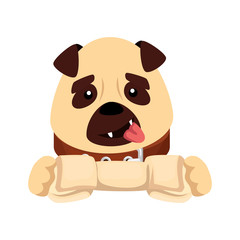 cute dog with bone isolated icon vector illustration design
