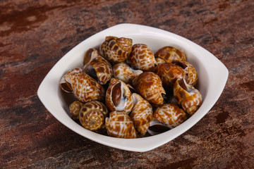 Tasty mollusk - spotted Babylon in the bowl