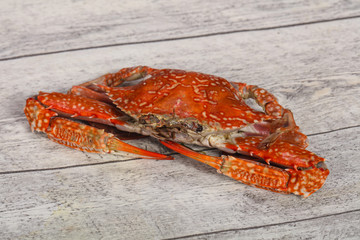 Boiled crab - ready for eat