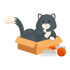 cute little with comb and ball toy vector illustration design