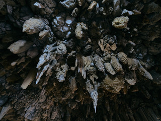 a beautiful stalactite cave in Thailand