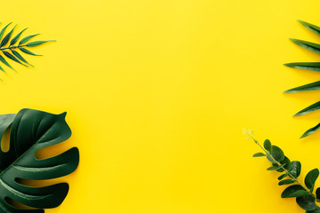 Fototapeta na wymiar Tropical green leaf on yellow wall texture abstract background.