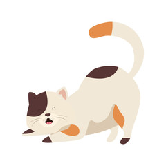 cute little cat animal icon vector illustration design