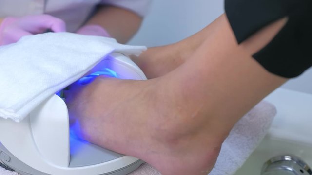 Woman is drying shellac on toes in UV lamp in beauty salon, closeup view. Pedicurist master is covering painting client's toes nails shellac on background. Professional pedicure in cosmetology clinic.