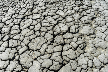 Cracked soil in Berca Muddy Volcanoes area in Buzau, Romania; active muddy volcanoes