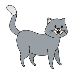 cute little cat animal icon vector illustration design