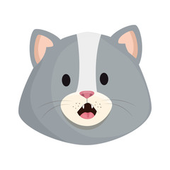 face of cute little cat animal icon vector illustration design
