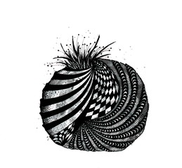 Graphic hand drawn black and white abstract pomegranate