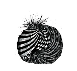 Obraz premium Graphic hand drawn black and white abstract pomegranate