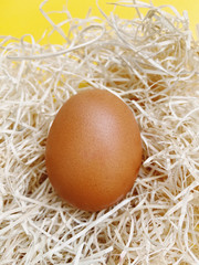 Close up of a chicken brown egg in the natural hay on yellow background. For Easter, design, poultry, agriculture, cooking theme. Vertical.