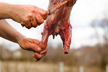 Preparation of rabbit meat