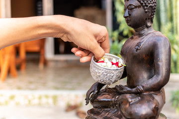Hand pouring water to buddha statue. Buddha statue water ceremony in songkran festival, thailand.