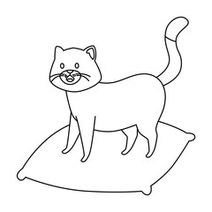 cute little cat in cushion line style icon vector illustration design