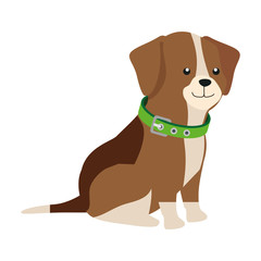cute dog animal isolated icon vector illustration design