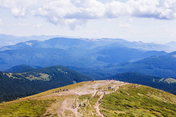Fototapeta premium Hikers on top of mountain against blue mountains background in distance_