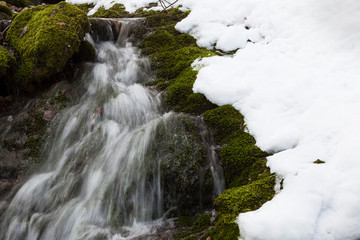 Stream with the moss in the snow