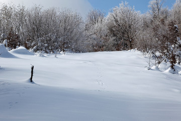 Winter at the mountains of Samoborsko gorje, Croatia