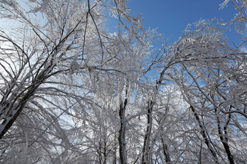 Winter at the mountains of Samoborsko gorje, Croatia