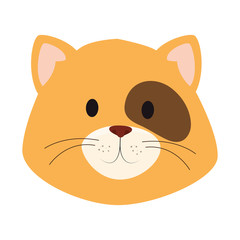 face of cute little cat animal icon vector illustration design