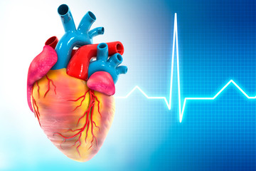 Human heart on medical background. 3d illustration.
