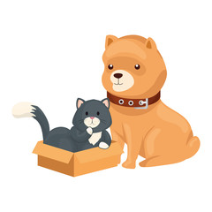 cute dog with cat in box carton vector illustration design