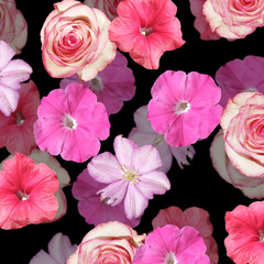 Beautiful floral background of clematis, roses and petunias. Isolated