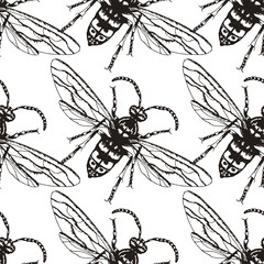 Seamless Insect Pattern with Winged Beetle in Vector