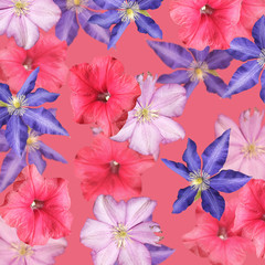 Beautiful floral background of petunia and clematis. Isolated